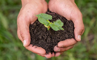 projetos de créditos de carbono